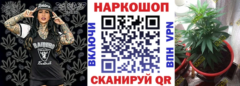 LSD-25 Сертолово