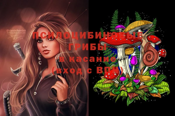 мдпв Нязепетровск