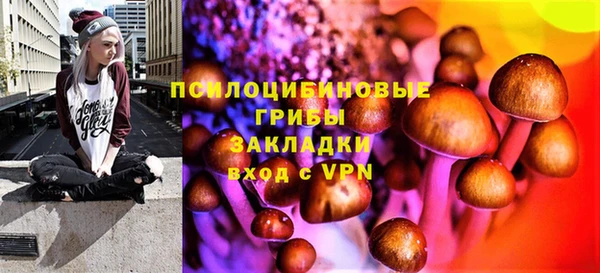 мдпв Нязепетровск